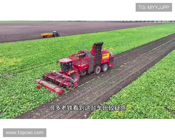 挖掘机甜菜收获属具